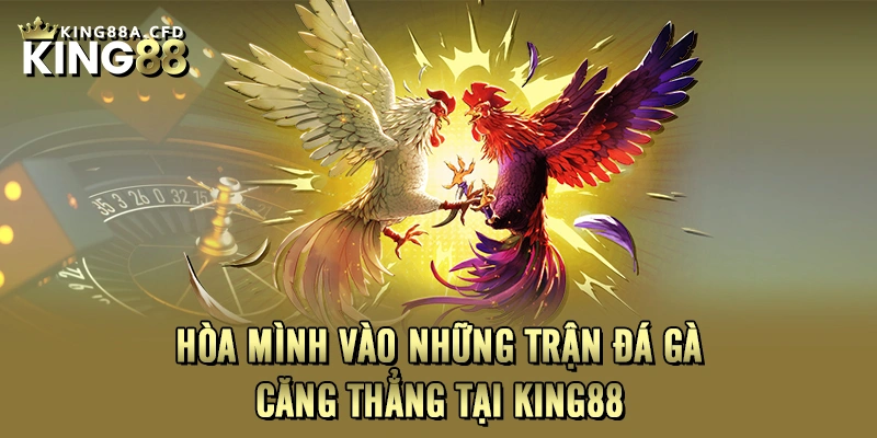 Hòa Mình Vào Những Trận Đá Gà Căng Thẳng Tại KING88